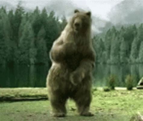 You can take any video, trim the best part, combine with other videos, add soundtrack. . Dancing bear party gifs